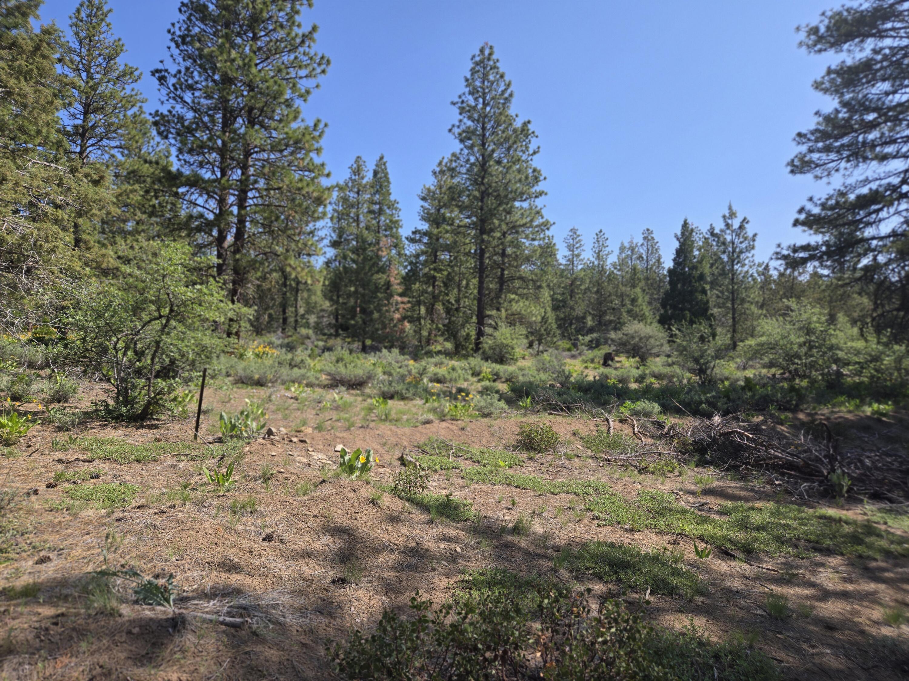 Klamath Falls Forest Estates -Hwy 66 Unit -Plat No. 1 - Land