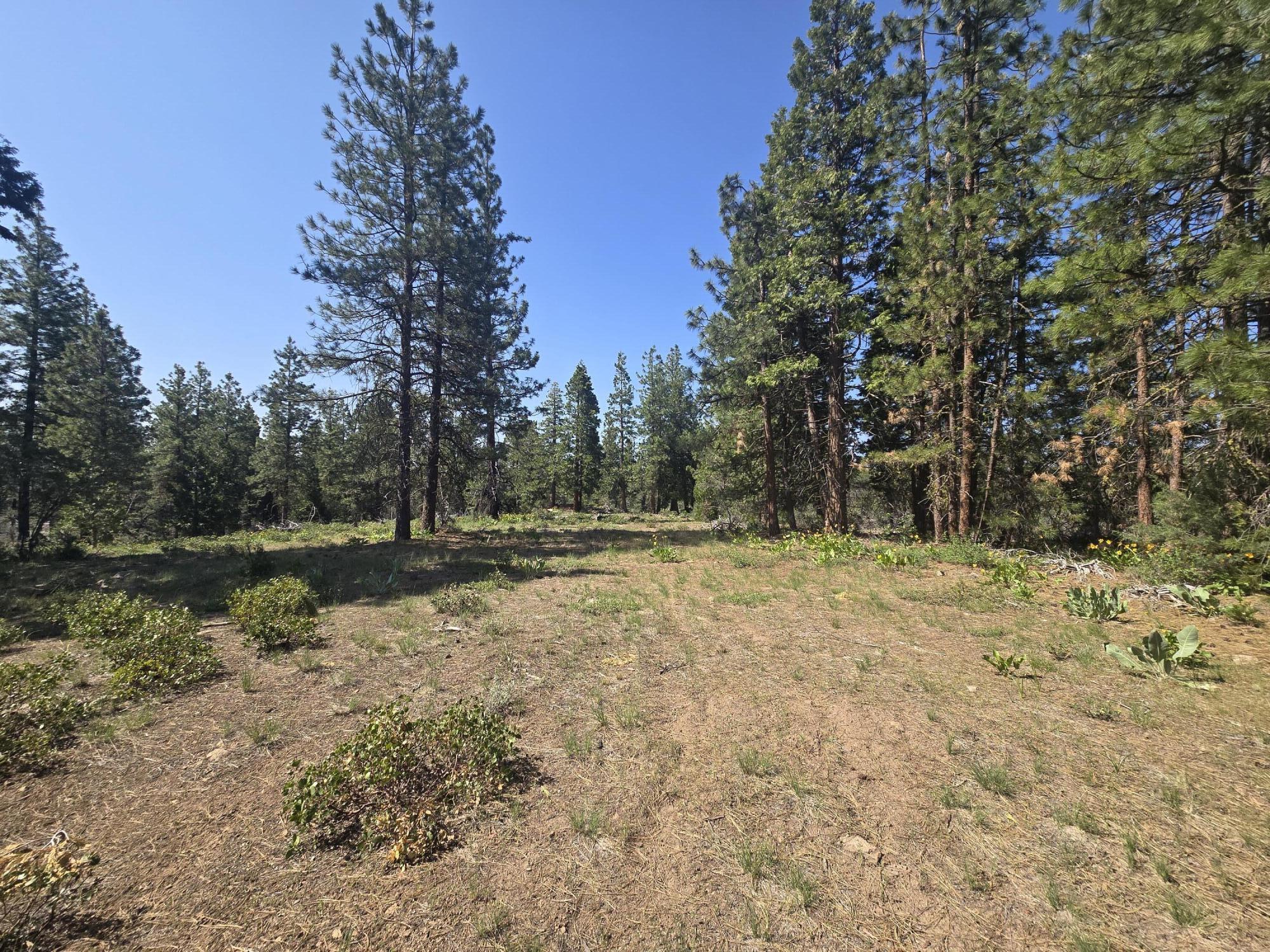 Klamath Falls Forest Estates -Hwy 66 Unit -Plat No. 1 - Land