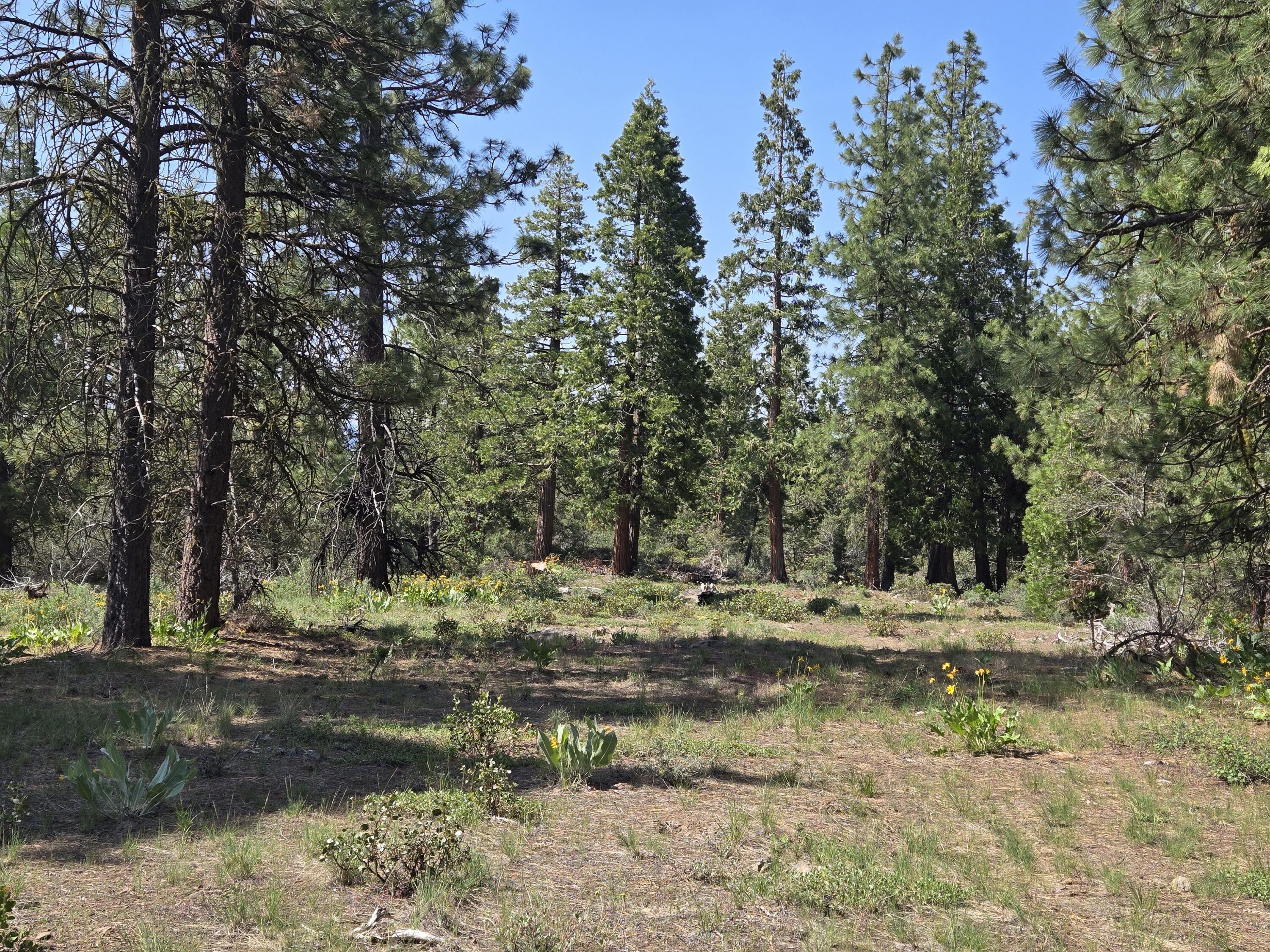 Klamath Falls Forest Estates -Hwy 66 Unit -Plat No. 1 - Land