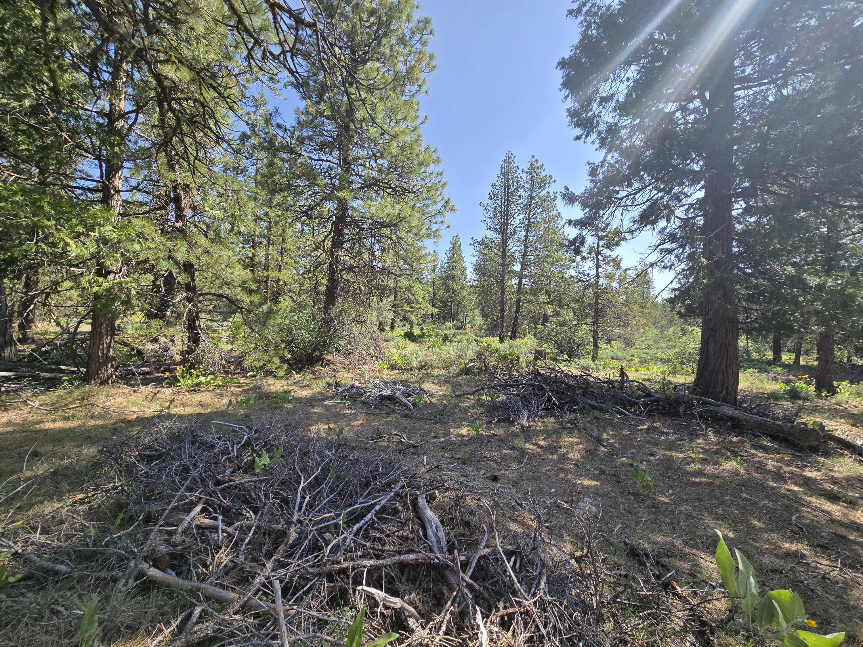 Klamath Falls Forest Estates -Hwy 66 Unit -Plat No. 1 - Land
