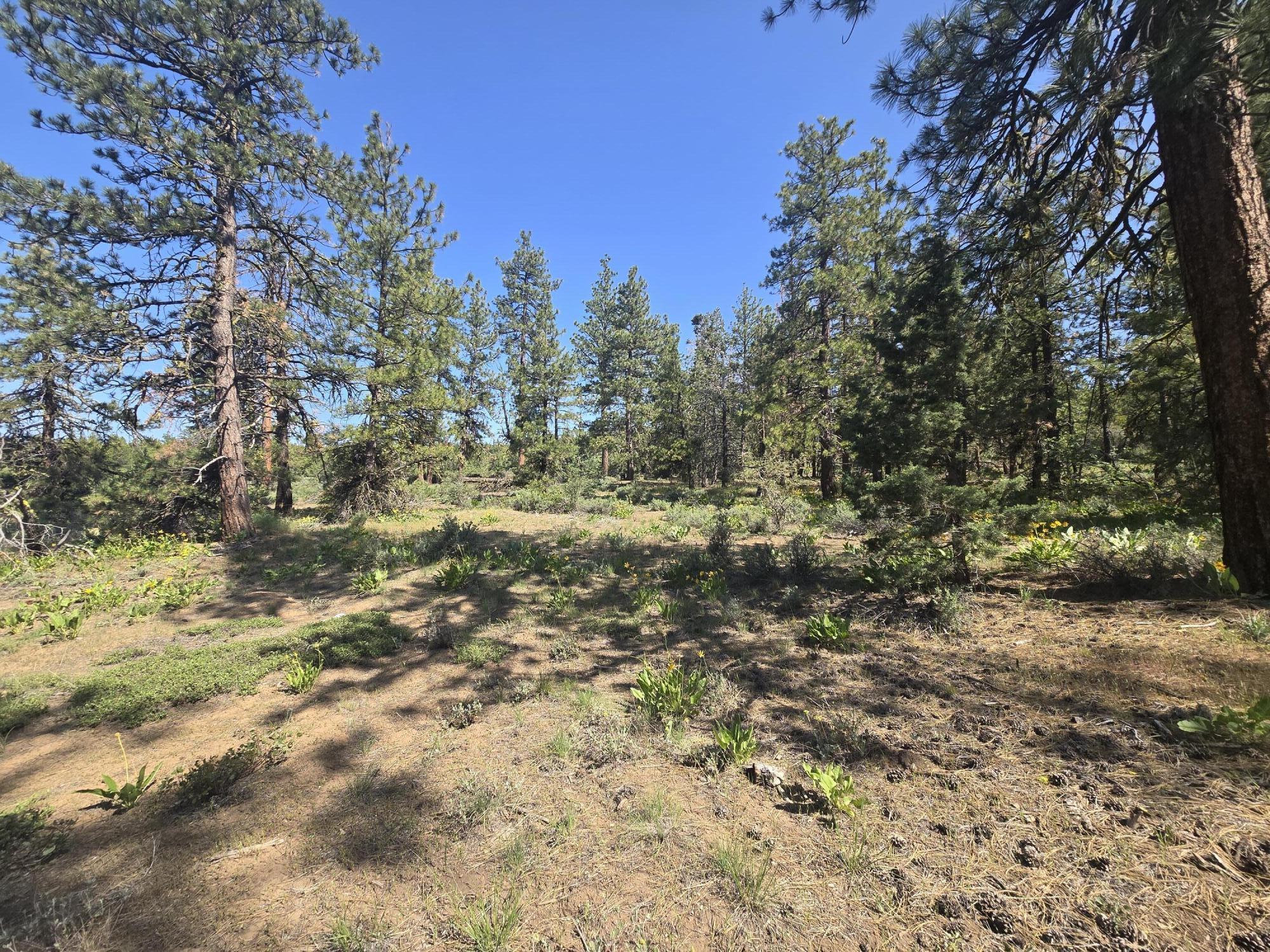 Klamath Falls Forest Estates -Hwy 66 Unit -Plat No. 1 - Land