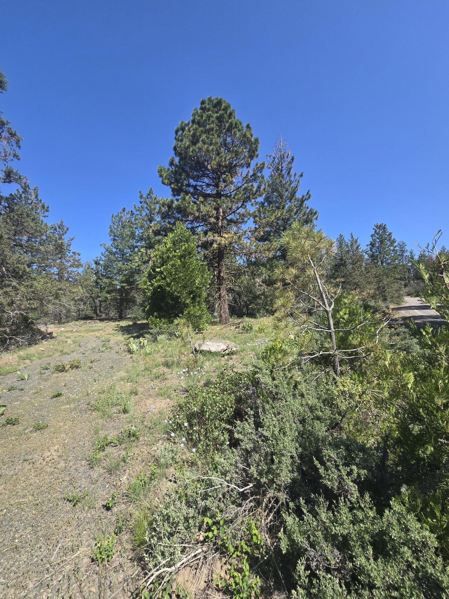 Meadow Lark Drive Lot 12