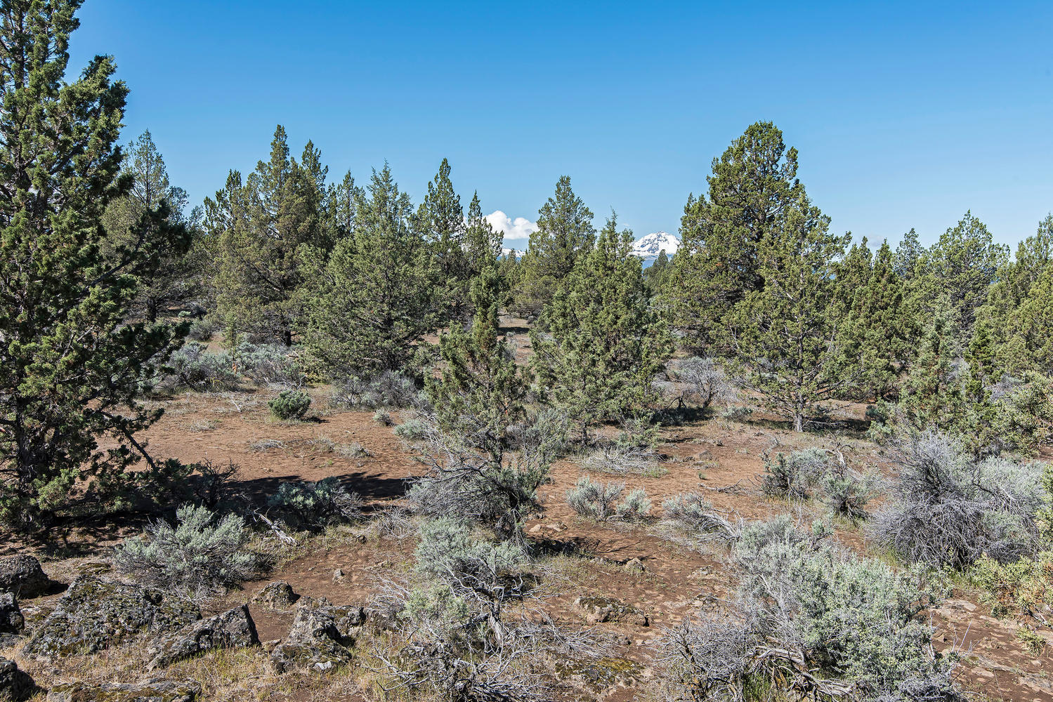 Cascade Estate - Land