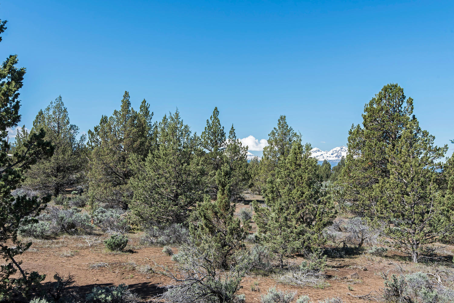 Cascade Estate - Land