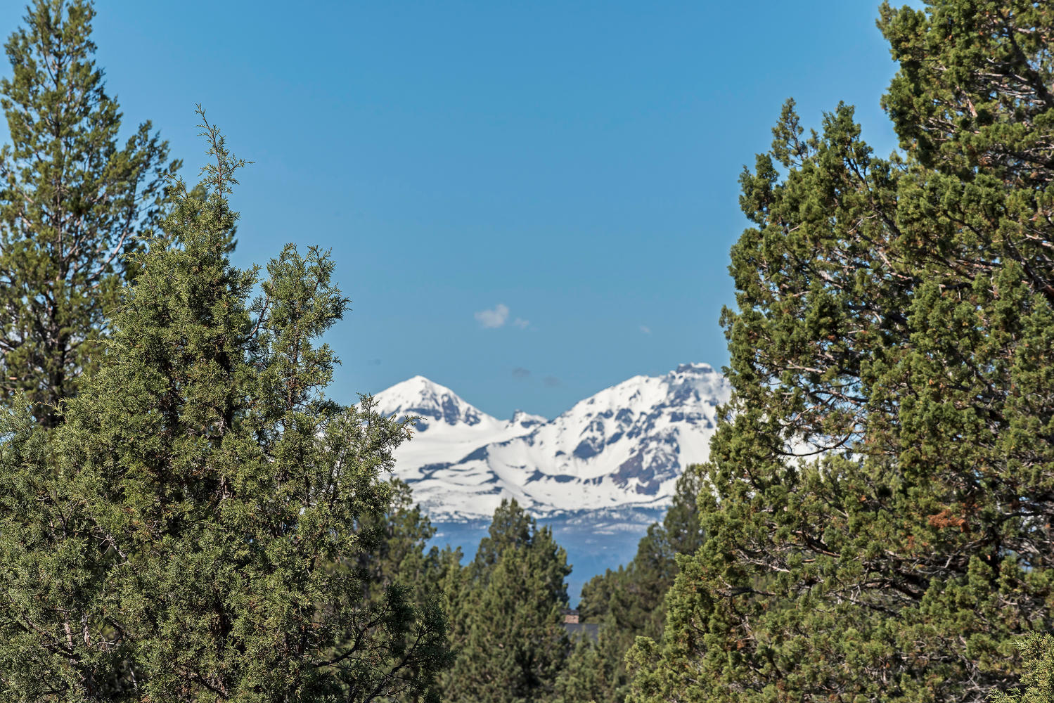 Cascade Estate - Land