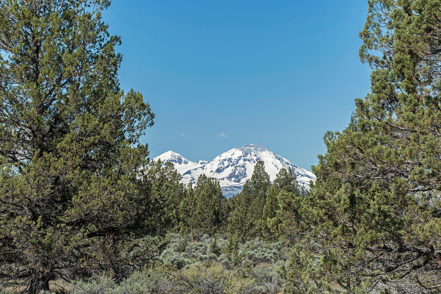 Cascade Estate - Land