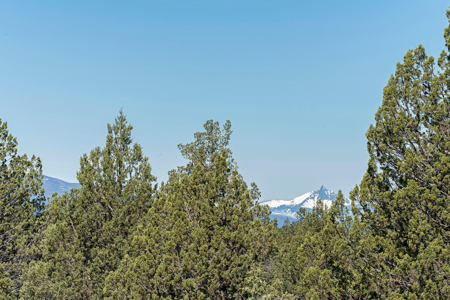 Cascade Estate - Land