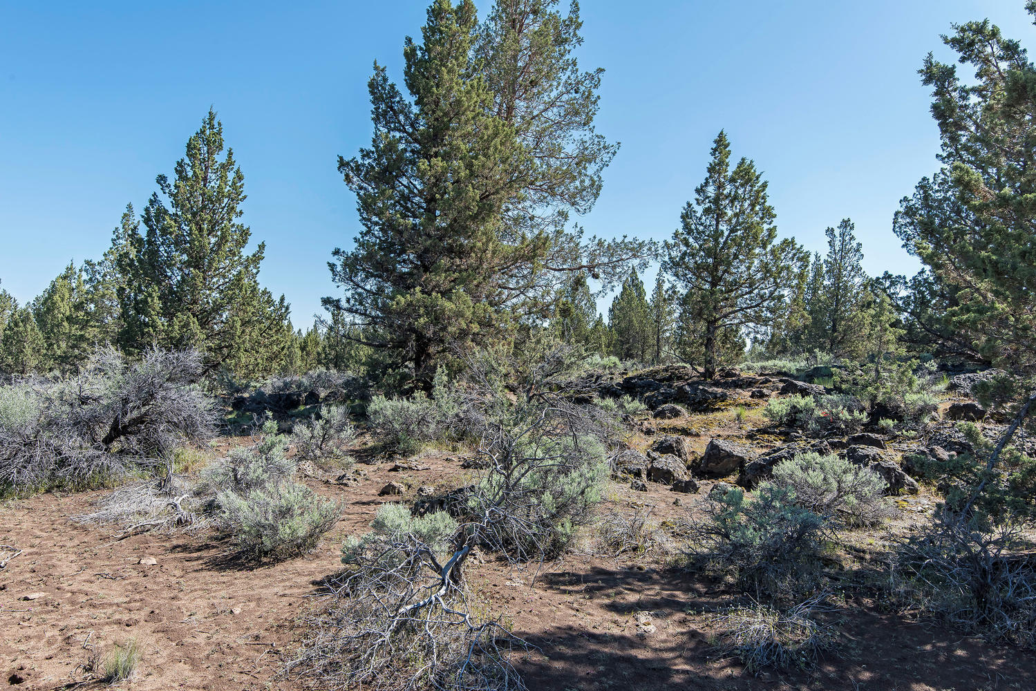 Cascade Estate - Land