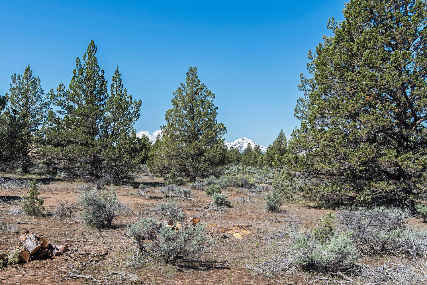 Cascade Estate - Land