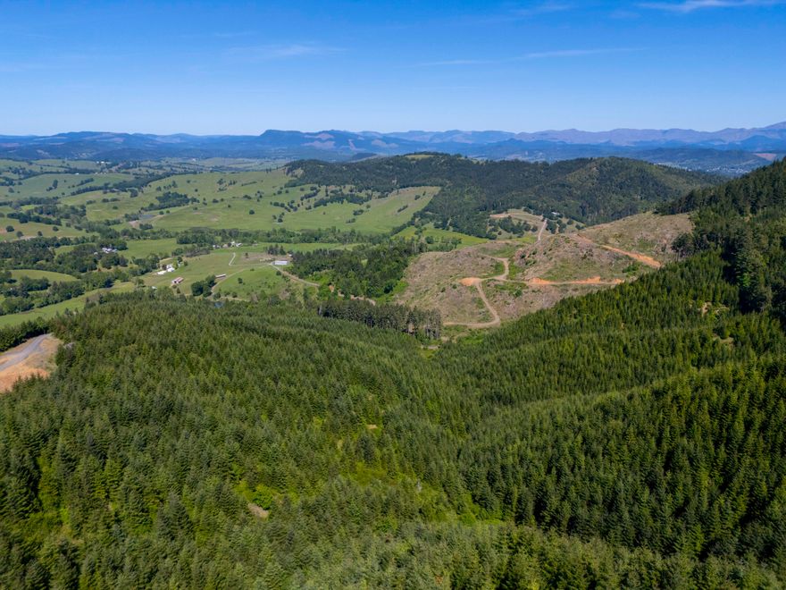 Exceptional ±240-acres of timberland in the scenic hills of Oakland, Douglas County, OR. This well-managed tract offers investment, recreation, and future development potential. Stocked with Douglas-fir: ±44 acres recently replanted, ±83 acres of 5-year growth, and ±110 acres of 20-year timber—ideal for long-term forestry and investment. Access via easement off Green Valley Road leads to quality graveled roads throughout the property. Features rolling to steep terrain, territorial views, and abundant wildlife—perfect for hiking, hunting, and outdoor enjoyment. There is potential for a homesite under current zoning regulations. This is a rare opportunity to own productive, private land in a beautiful rural setting. Buyer to conduct all due diligence with regard to allowable uses. Not a drive-by—appointment required.