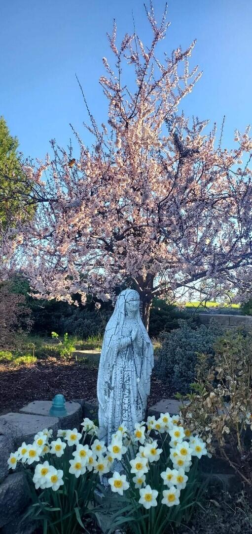 Oregon Shores - Residential