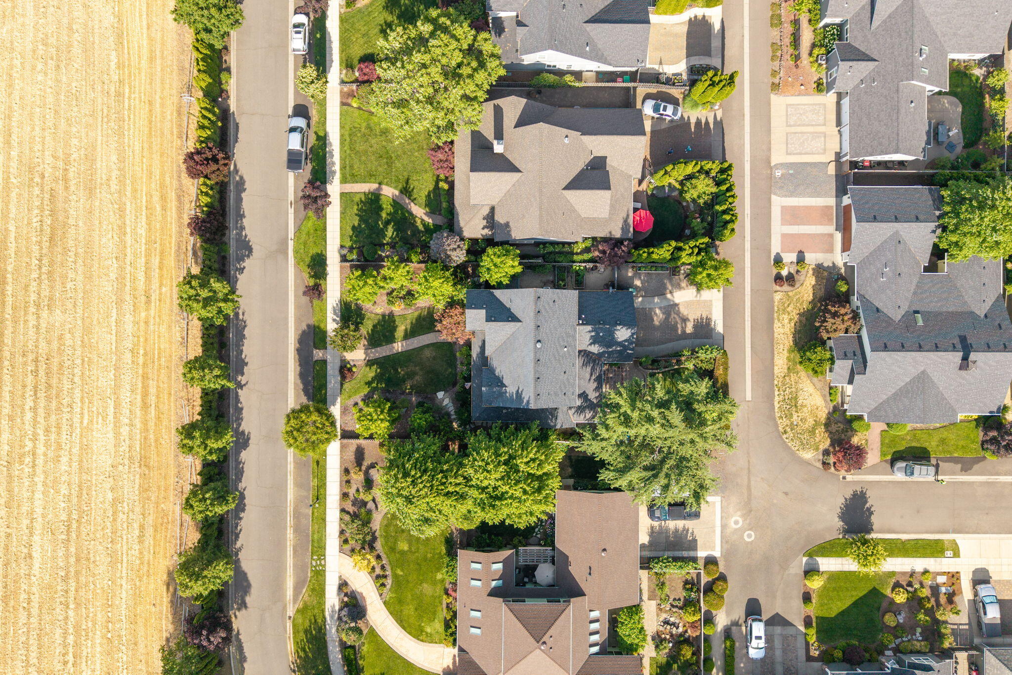 Vineyard View - Residential