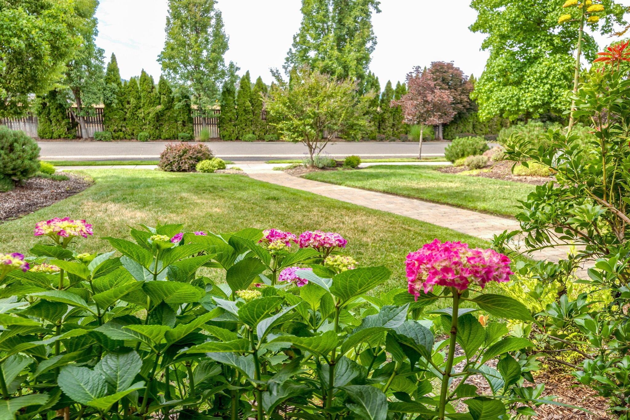 Vineyard View - Residential