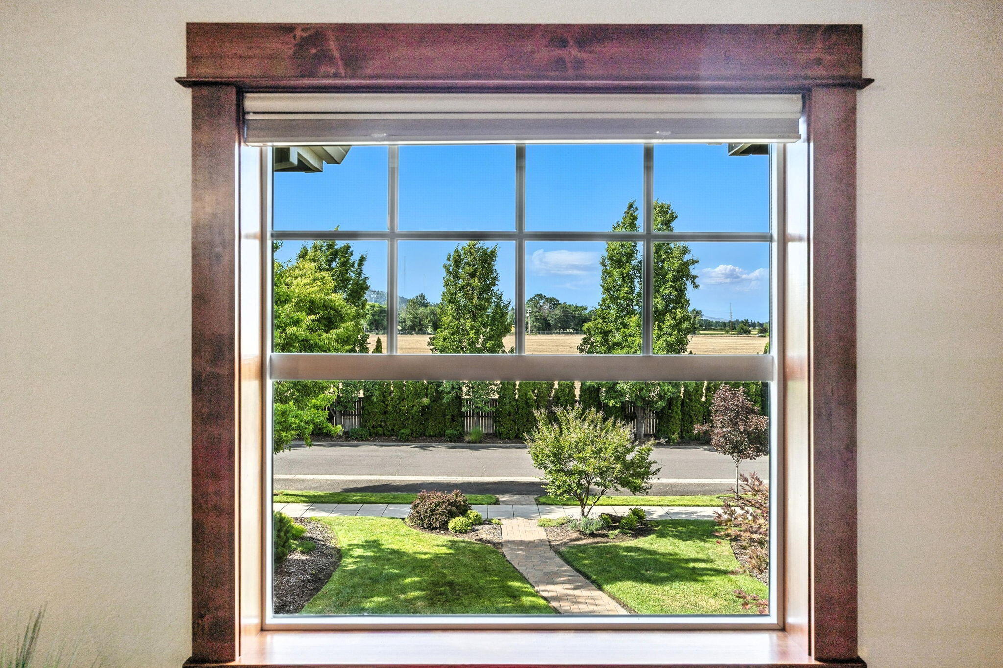 Vineyard View - Residential