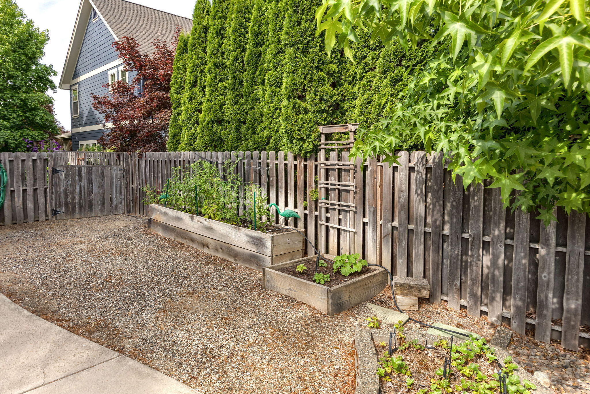 Vineyard View - Residential