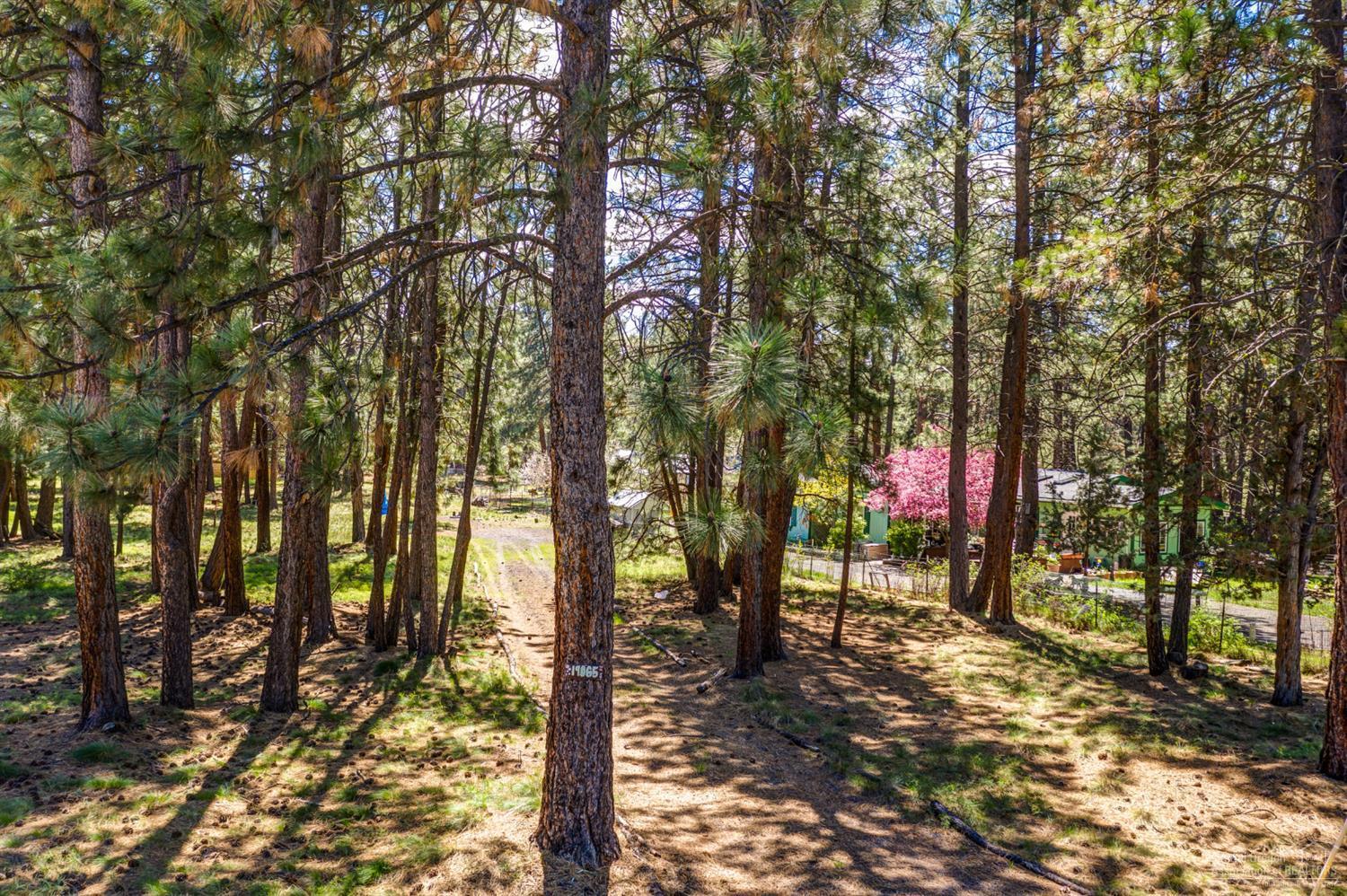 Deschutes RiverWoods - Land