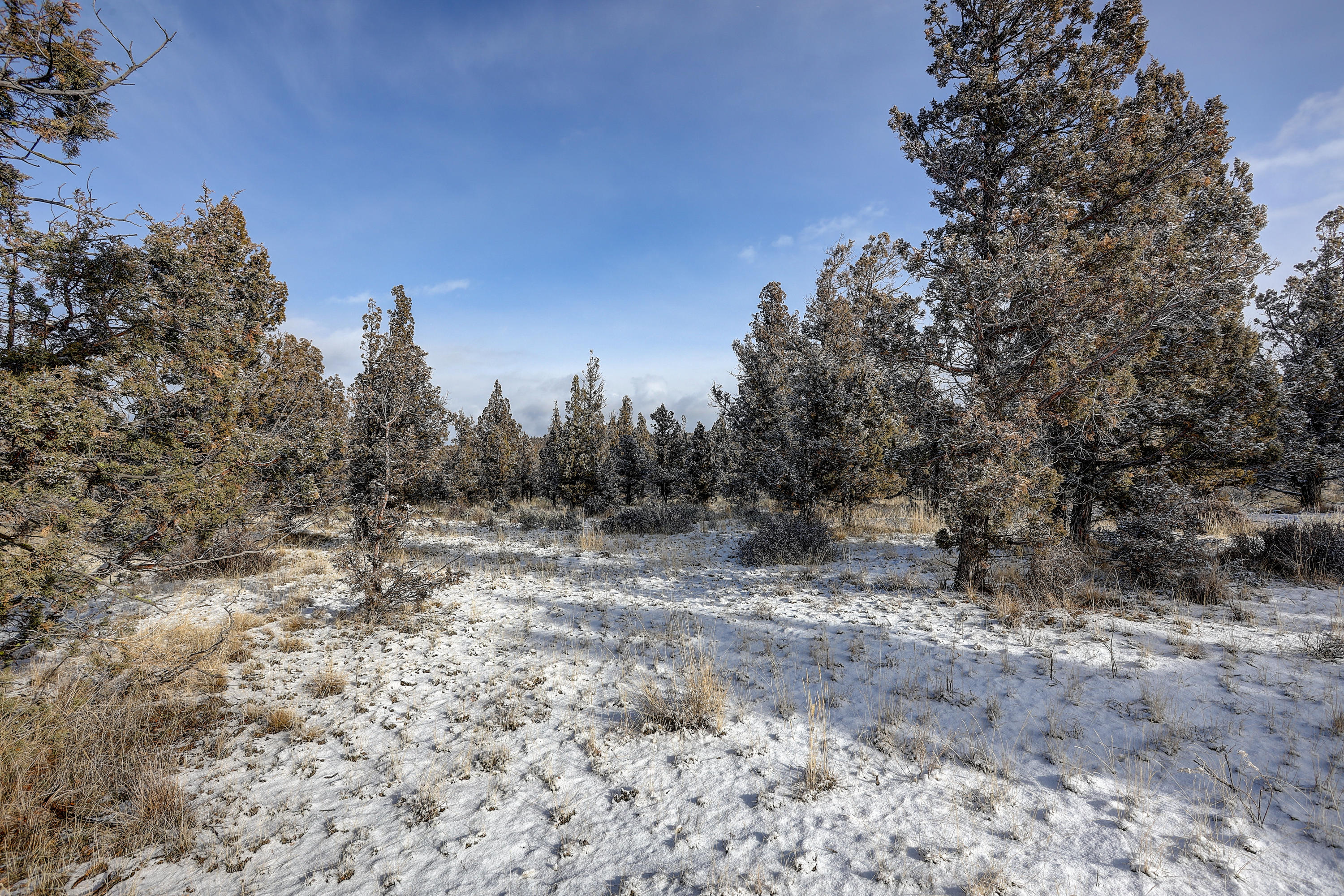 Mtn View Estate - Land