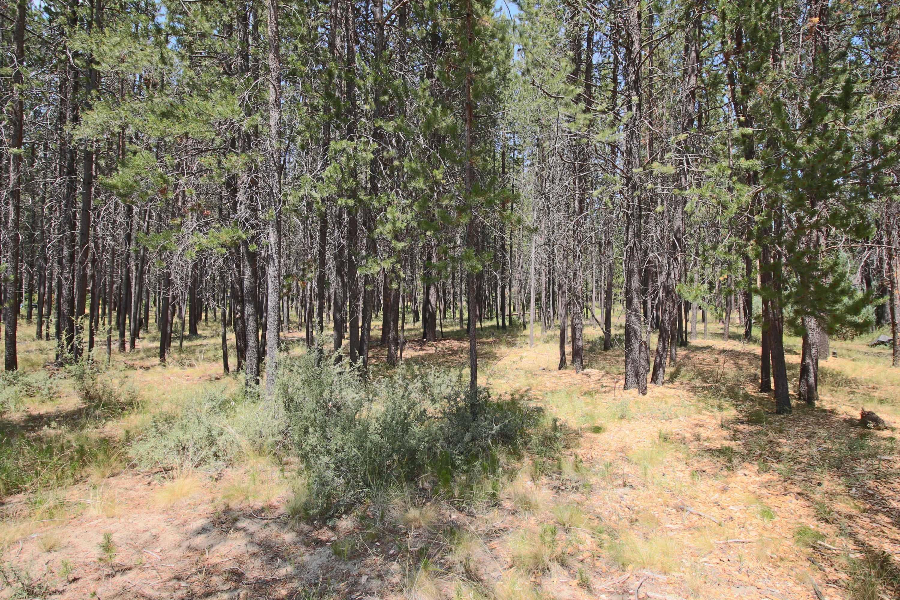 River Meadows - Land