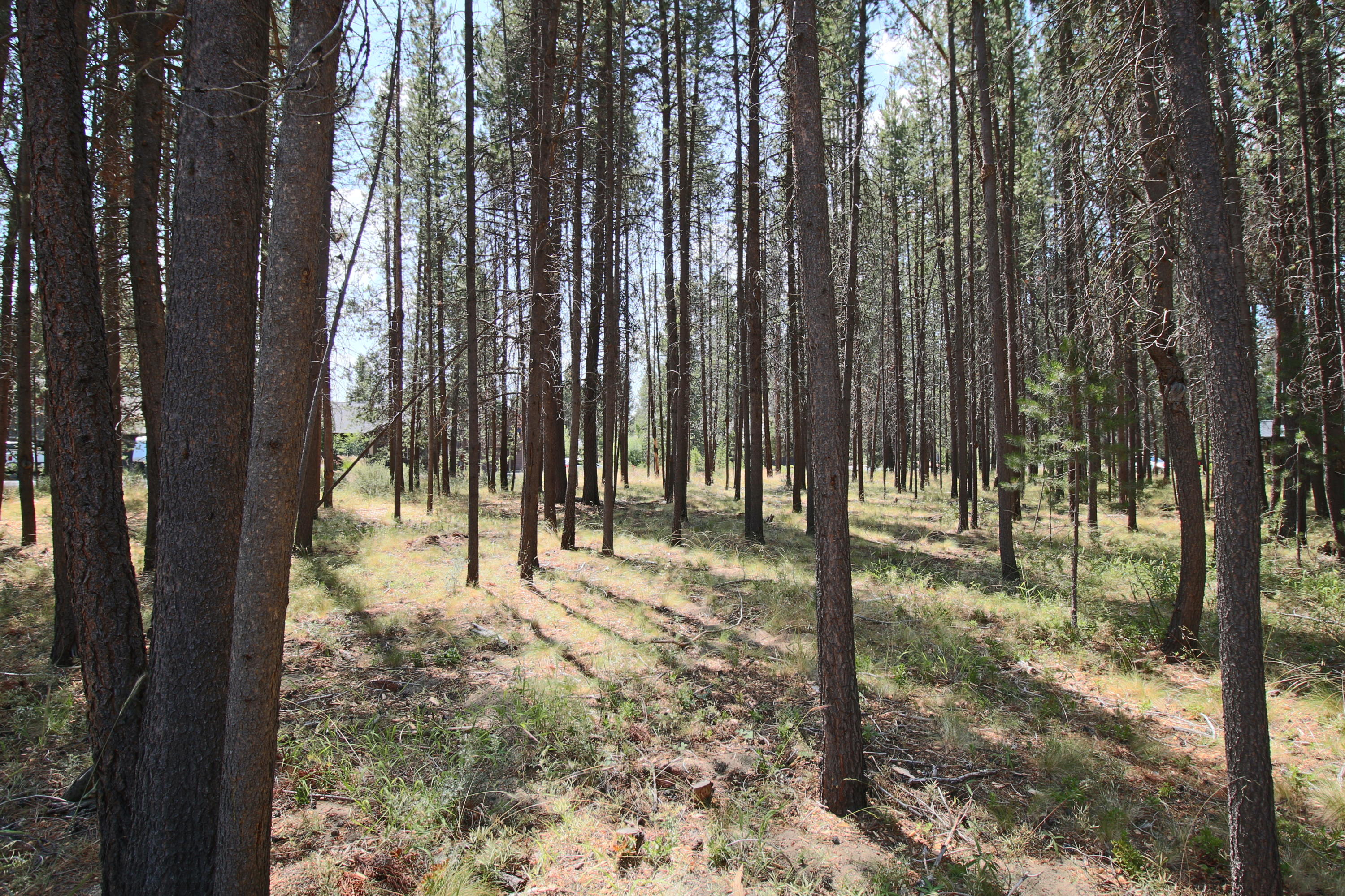 River Meadows - Land