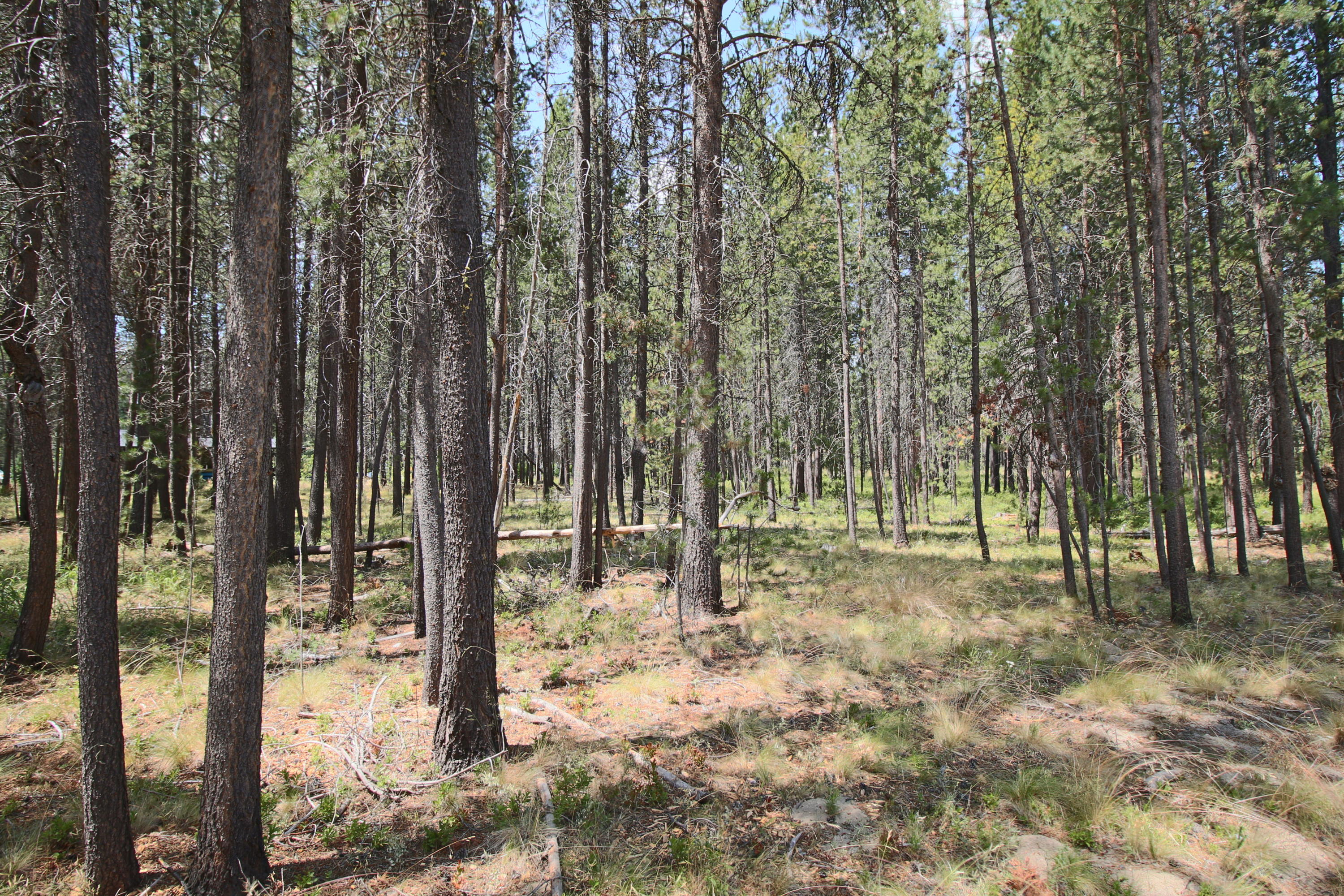 River Meadows - Land