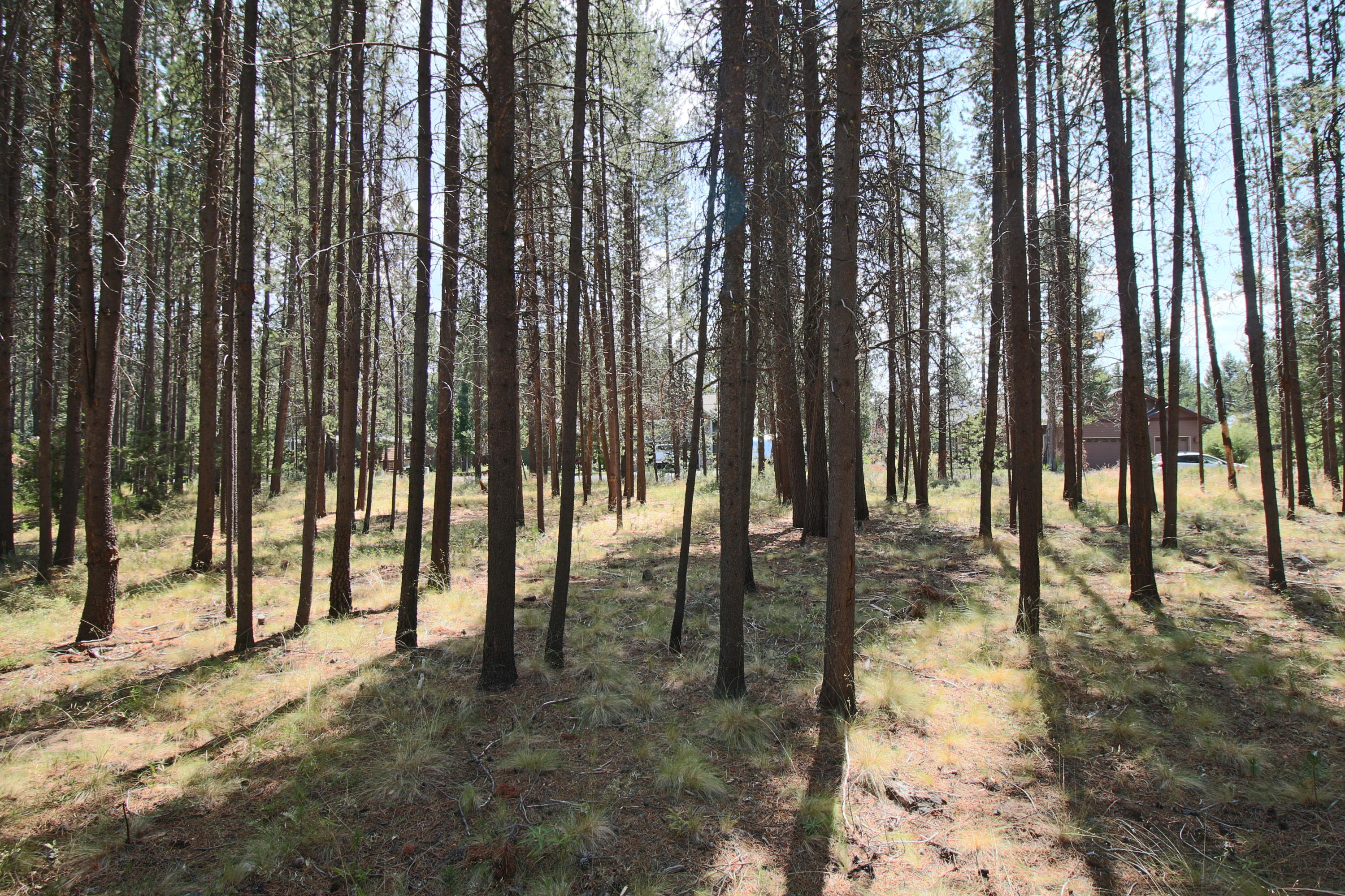 River Meadows - Land