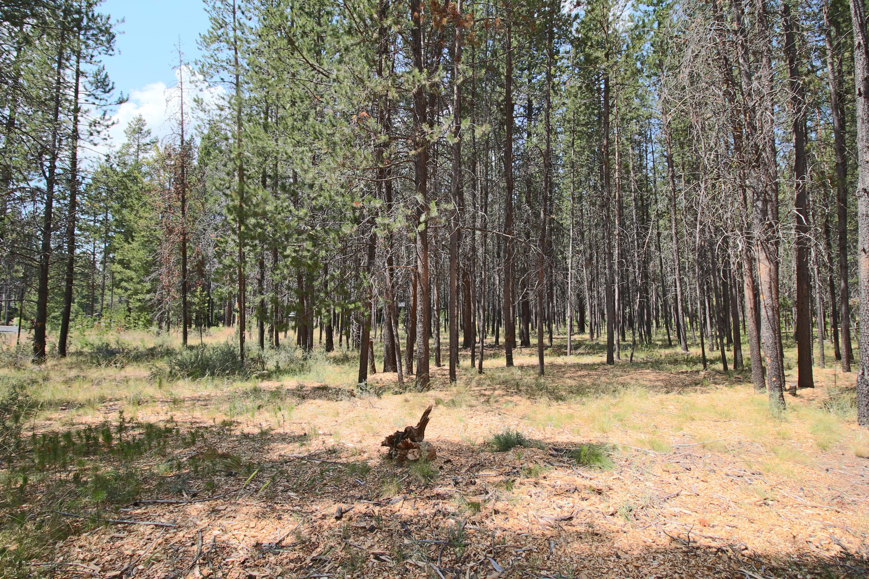 River Meadows - Land