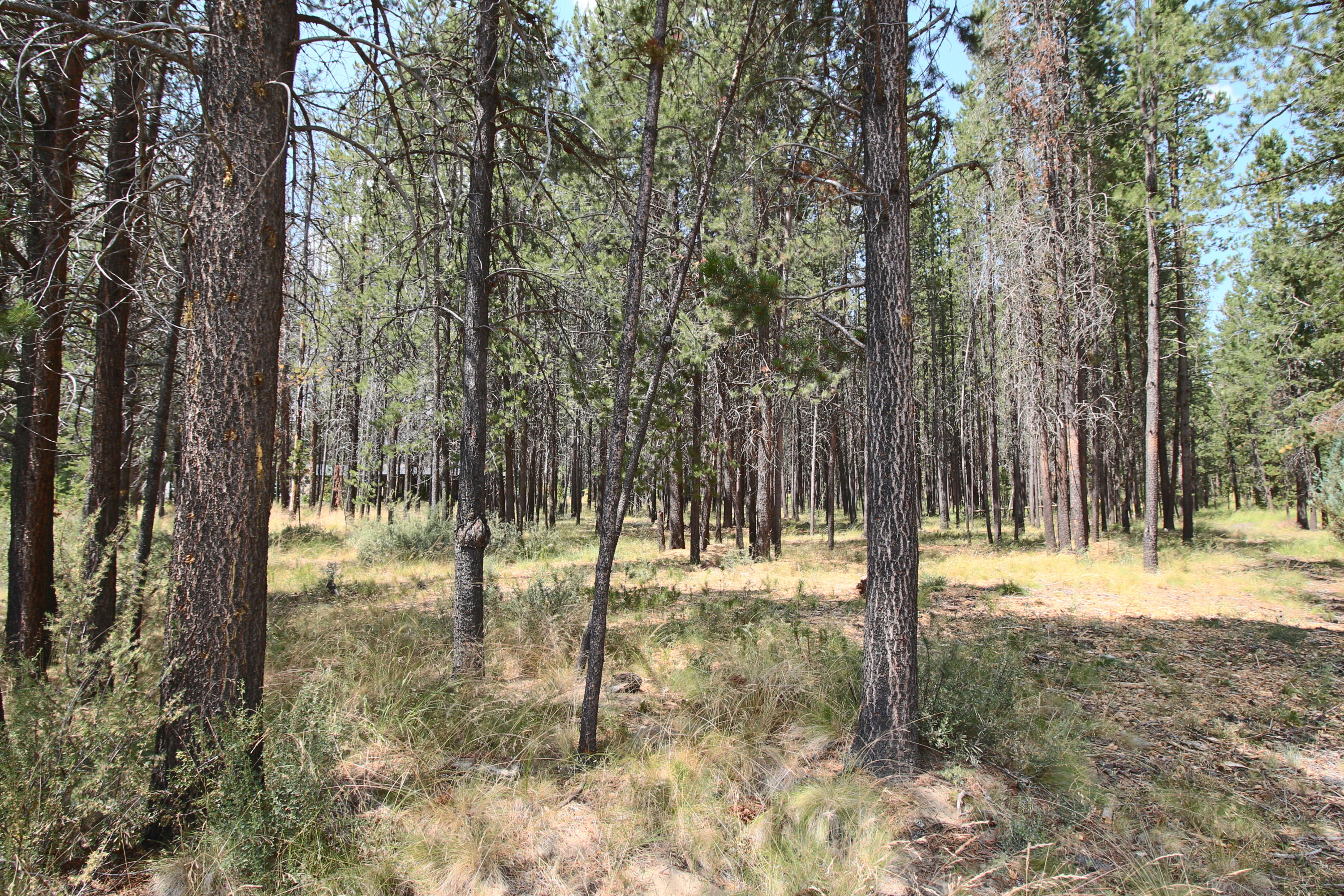 River Meadows - Land