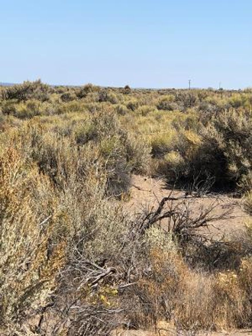 Great 40 acre on the corner of Crack in the ground and North Star. Power close by. Make this your  get-a-way from the hustle bustle of City life for Recreational or a Home site subject to a CUP from Lake County. Private yet close to power and the township with a golf course,park.man made lake full pf ducks. Enjoy the sand dunes or tour the geographic sites. Come enjoy the Oregon outback/