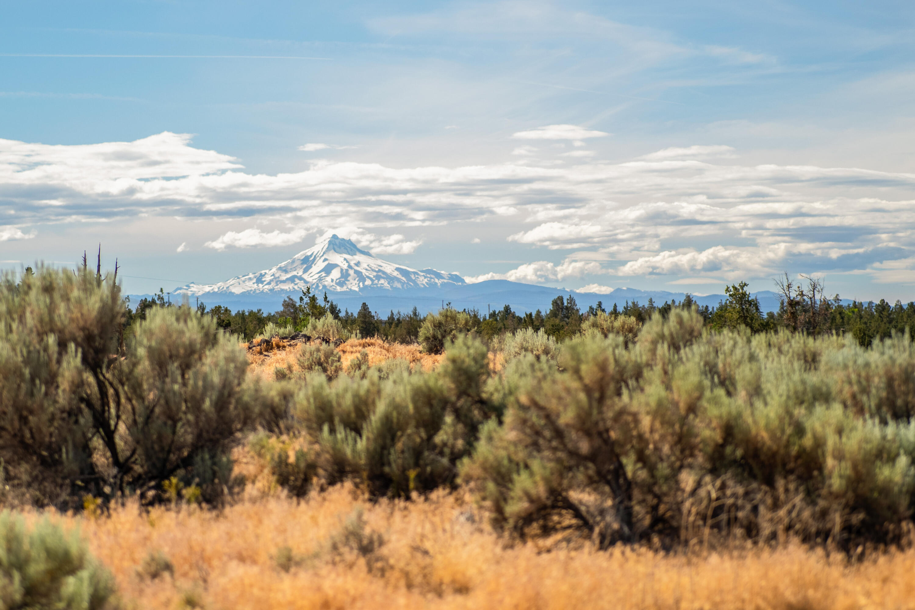 711 NE Good Pasture Loop