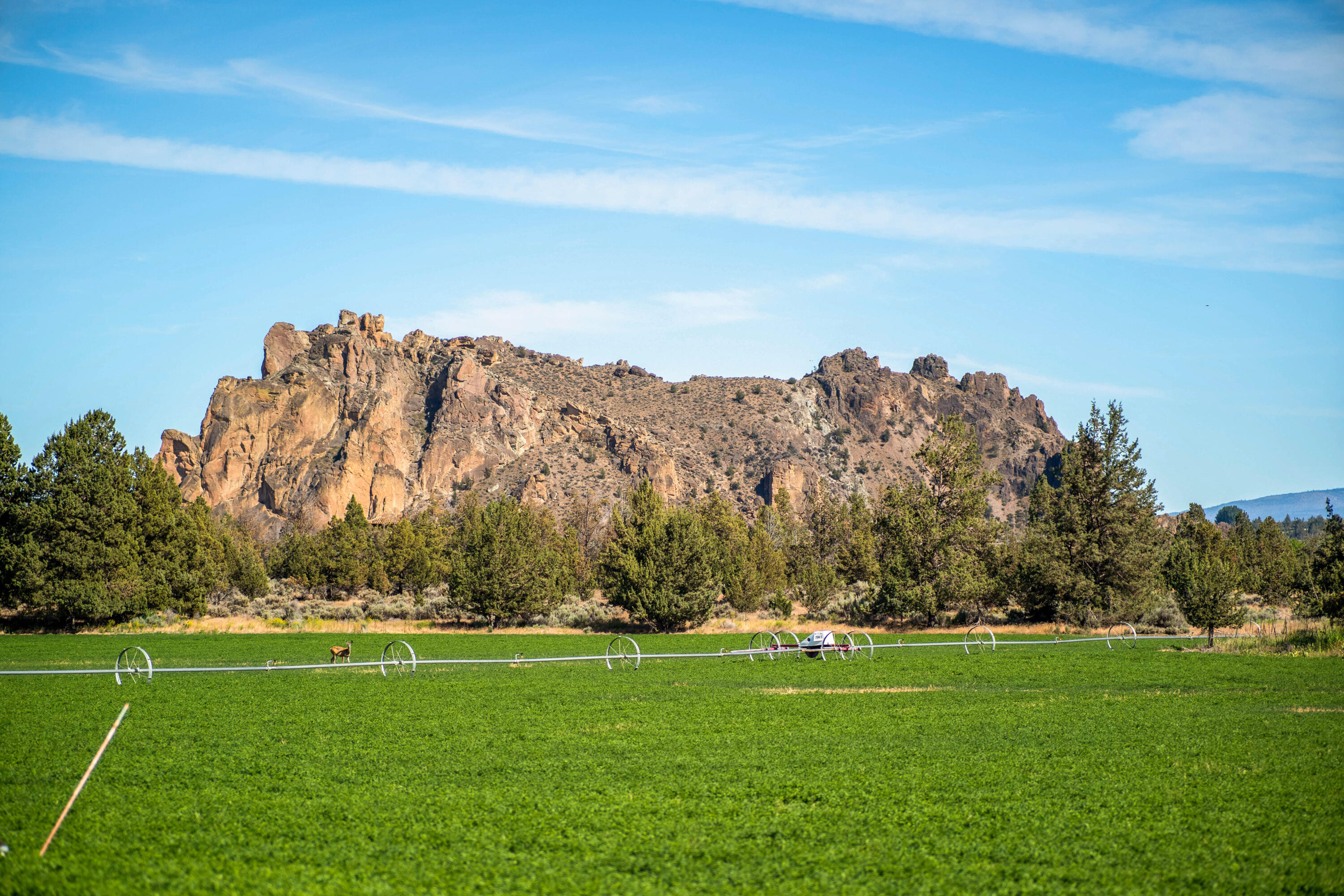 711 NE Good Pasture Loop