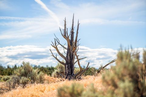 Tiny photo for 711 NE Good Pasture Loop, Terrebonne, OR 97760 (MLS # 220203653)