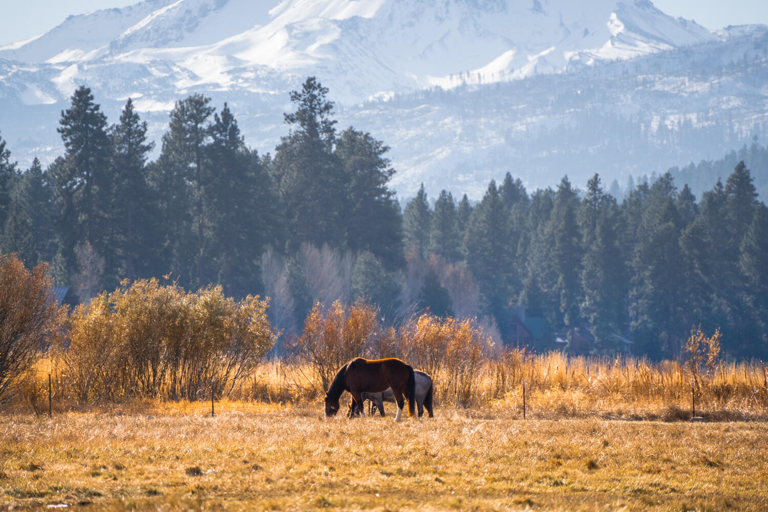 Black Butte Ranch - Residential
