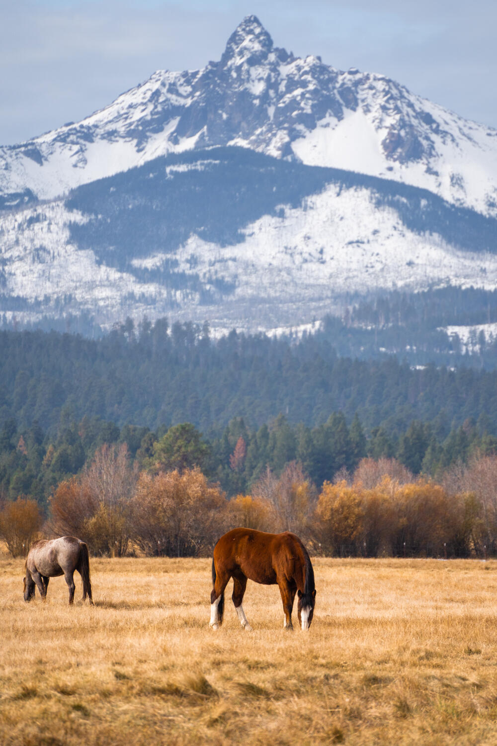 Black Butte Ranch - Residential
