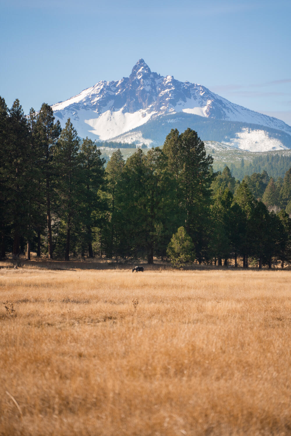 Black Butte Ranch - Residential