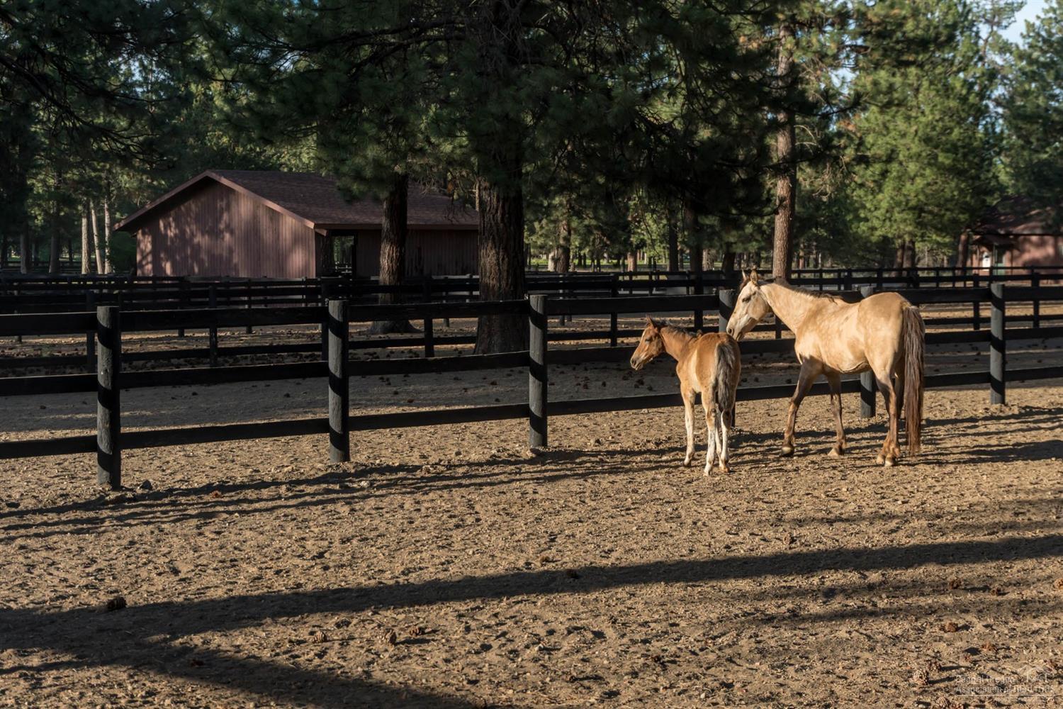 Cascade Meadow Ranch - Residential