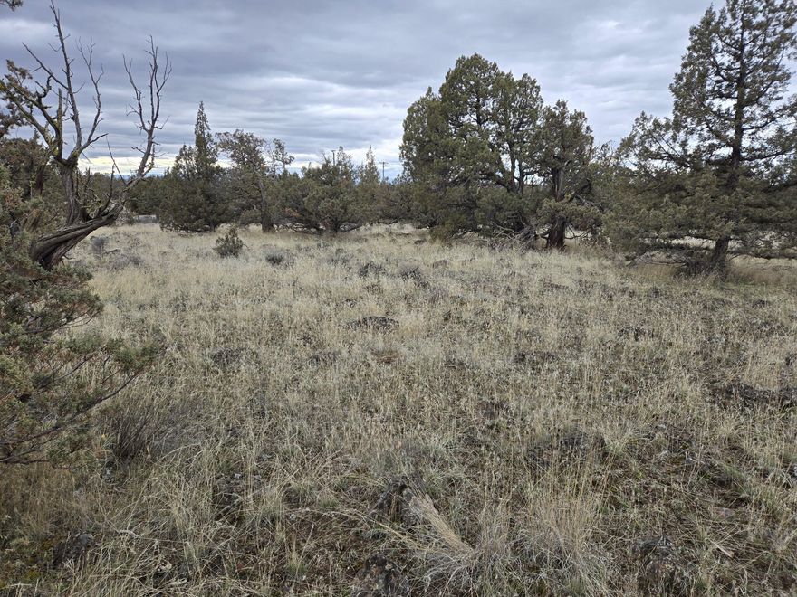 Brand new developed lots partitioned off of a 240 plus acre parcel located off of O'Neil Hwy.  These parcels are accessed by a brand new all weather road constructed along the South border.  This property is a little over 1 1/2 miles West of the North Unit Canal and county line.  Parcel 1 has been septic approved for a cap and fill septic.  This are has some outstanding wells in it.  These lots were situated to maximize your view of the mountains and also provide privacy.  Lots of trees that you can keep what you want and remove what you don't want.  Build your dream home right here.  Sellers are willing to carry with a sizable down 50%.  Sellers are licensed Realtors in the State of Oregon.  Because the sellers are also the listing agents, please feel free to contact us regarding these lots.