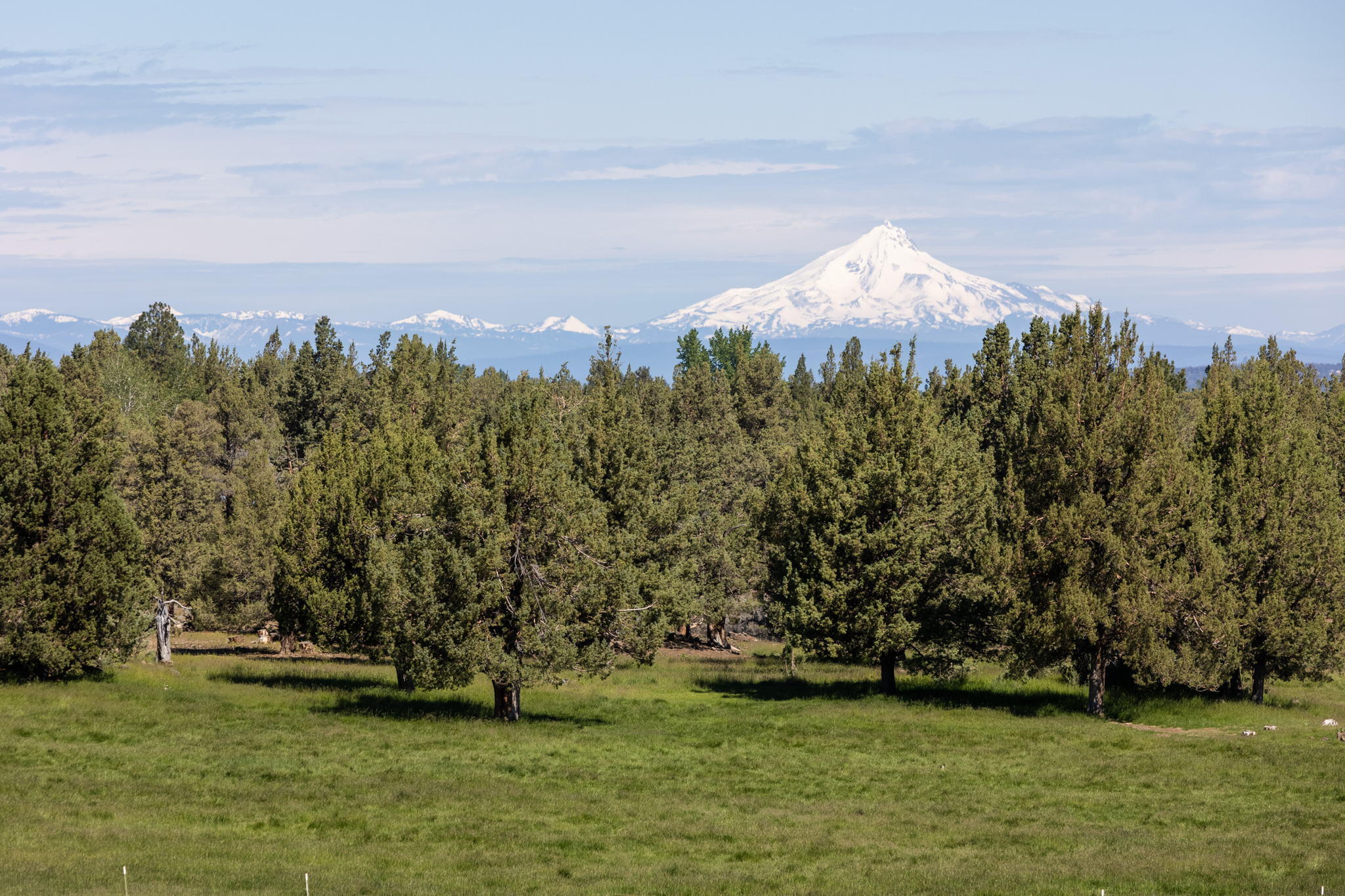 Ross Ranch - Residential