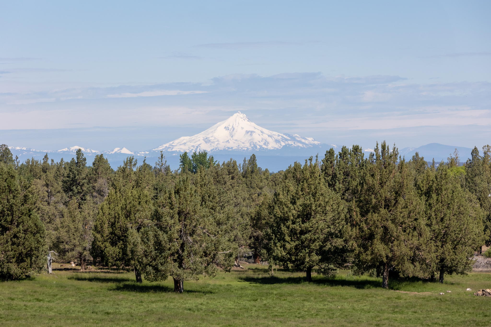 Ross Ranch - Residential