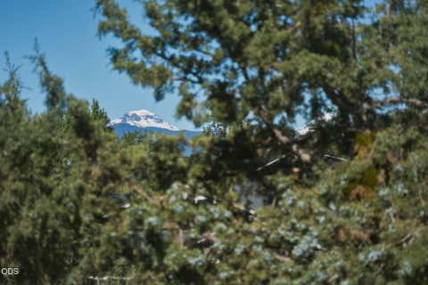Tiny photo for 20825 Rorick Drive, Bend, OR 97701 (MLS # 220223416)