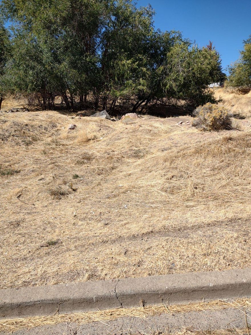Hard to find lot in the city close to schools. Adjoining lot MLS# 220192294 is also available. Buyer to do their own due diligence regarding utilities, zoning, property lines, building restrictions, etc. Buy both lots for approx .56 of an acre.