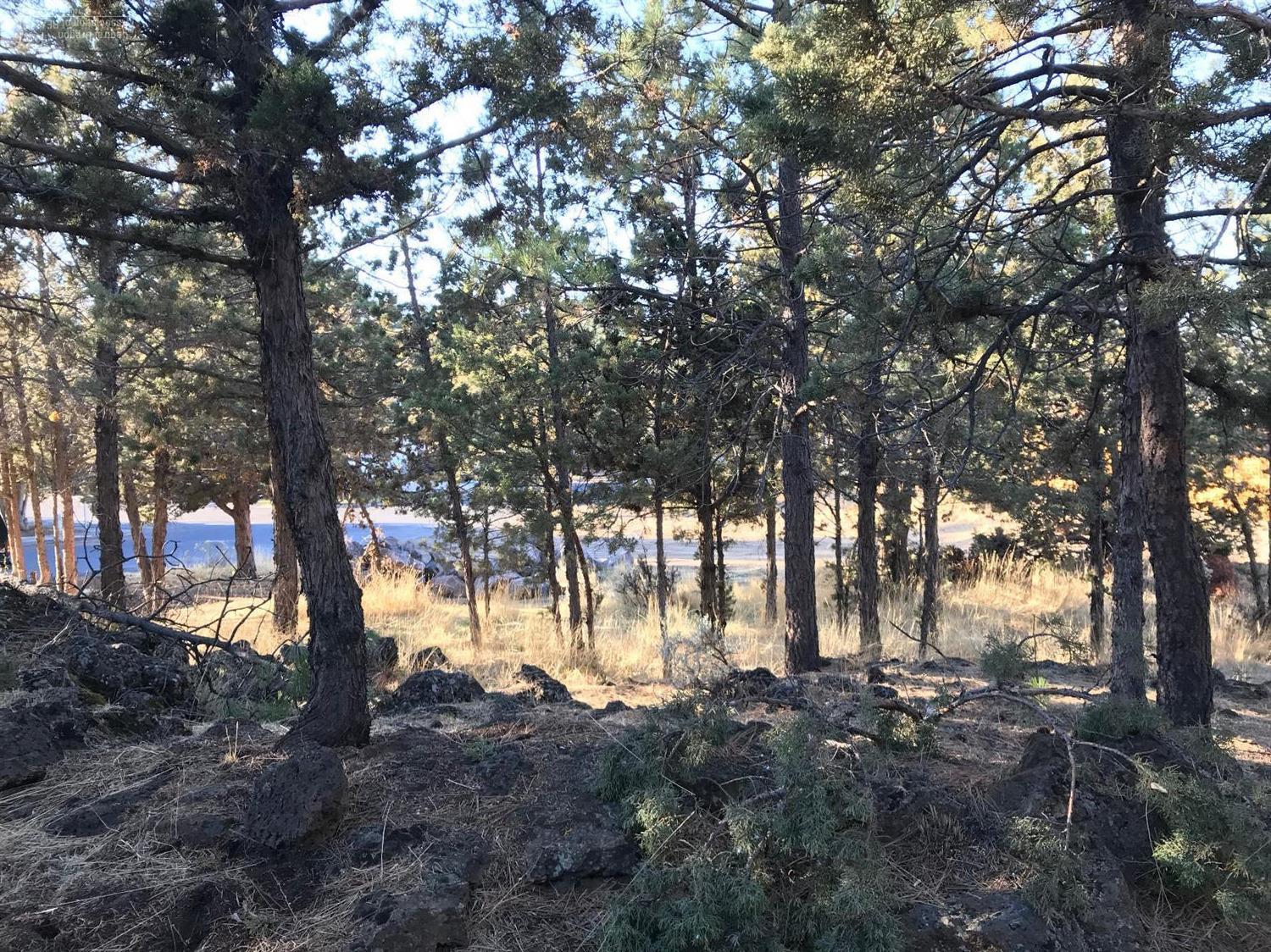 Riverside - Residential Income