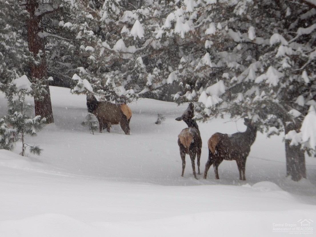 Awbrey Butte - Residential