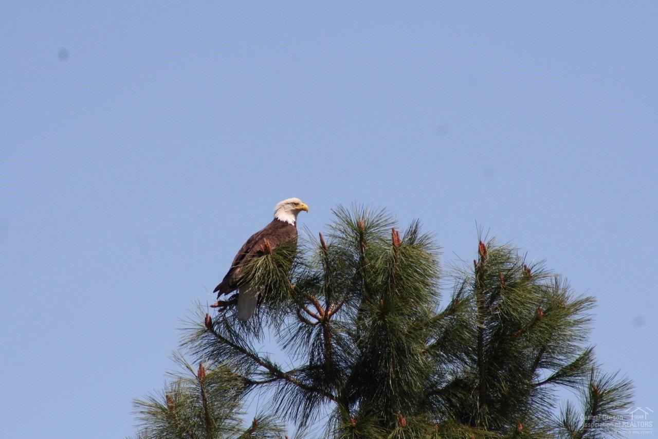 Awbrey Butte - Residential