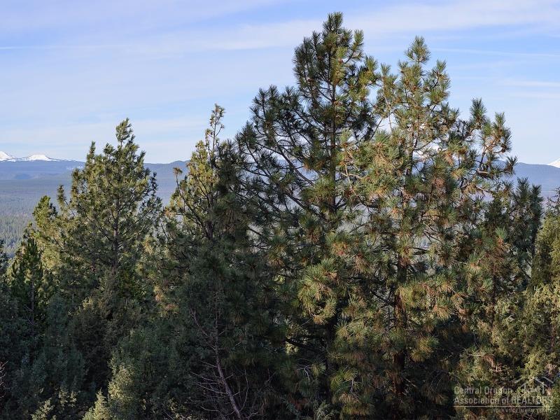 Awbrey Butte - Residential