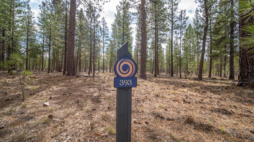 Set across from Mirror Lake within the exclusive Caldera Springs community, Homesite 393 is a .48-acre wooded property immersed in ponderosa pines with a variety of nature views including expansive common area and lush nearby park. Homesite 393 is from the first release of Elk Run Homesite Collection, the newest phase of Caldera Springs' Mirror Rock neighborhood. Owners will enjoy the opportunity to build their dream home with full access to existing Caldera Springs amenities, plus an array of forthcoming amenities — including an expansive proposed fitness center with pools and a family-friendly park, miles of new trails and more. Additionally, owners will enjoy access to nearby Sunriver Resort and its amenities. Homesite 393 is located steps from 220-acre Wildlife Forest Preserve and forthcoming amenity core, plus just 15 minutes from Bend. Property taxes will be determined after the final recorded plat and the appointed assessor's parcel number.
