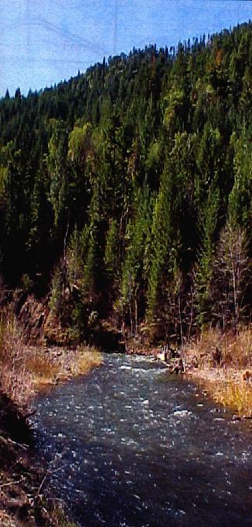 458 acre recreation/retreat land located in the Southern Oregon Cascade Mountains, with homesite approval. The property is easily accessible from county maintained roads and is about a 35 minute drive to Medford, Oregon. A premier trout stream, South Fork Little Butte Creek, bisects the property. Coho Salmon, Summer and Winter Steelhead, native Cuththroat trout, and Brook Trout are known to populate the stream. Merchantable timber and mountain views add to the amenities.