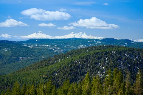 SE Opal Creek Road Ashwood OR 97711