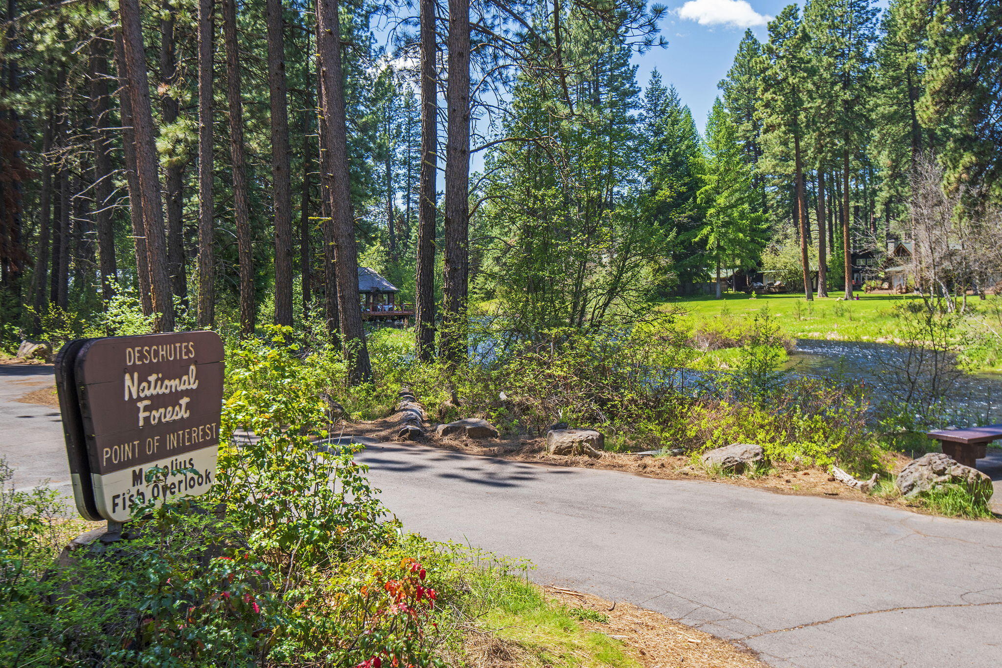 Summerlane - Residential