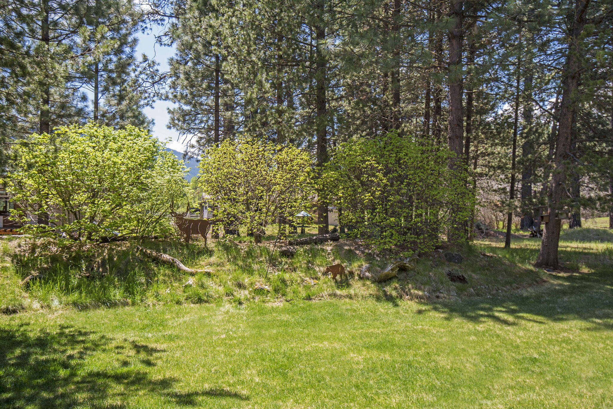 Summerlane - Residential