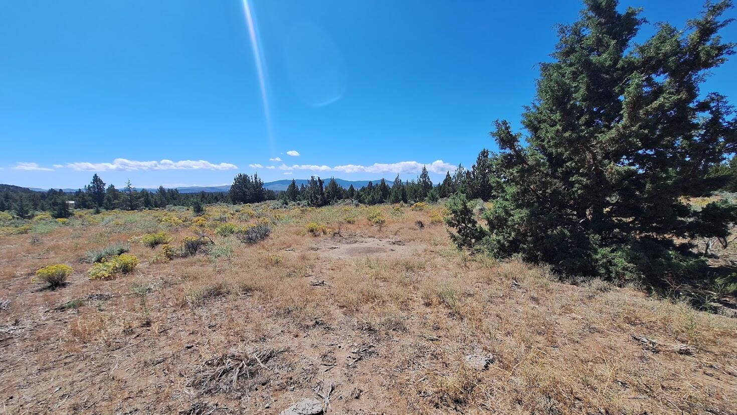 400 GoldenView Ranch 400